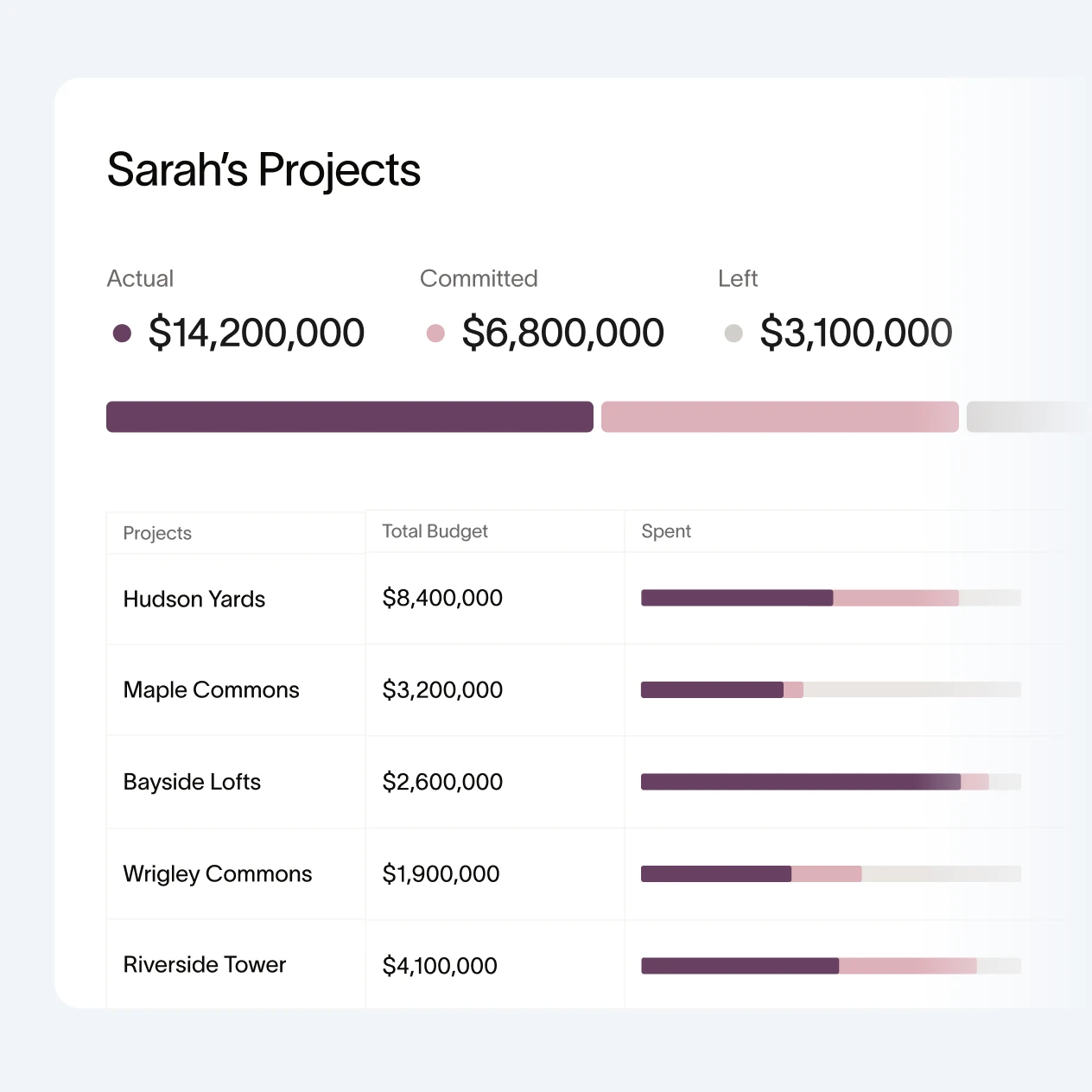 Project manager budget view