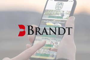 Brandt grew finance operations 3x with zero added accounting headcount